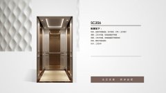 临沂别墅梯
